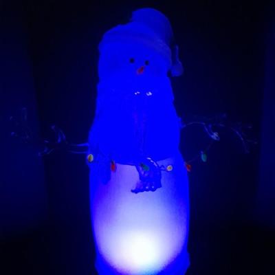 JC Penney Home Collection Acrylics Aglow Christmas Snow Man