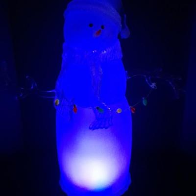 JC Penney Home Collection Acrylics Aglow Christmas Snow Man
