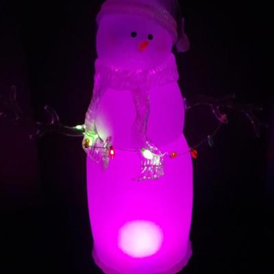 JC Penney Home Collection Acrylics Aglow Christmas Snow Man
