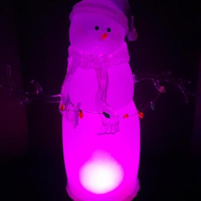 JC Penney Home Collection Acrylics Aglow Christmas Snow Man