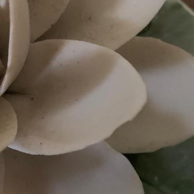 Capodimonte Lotus Flower