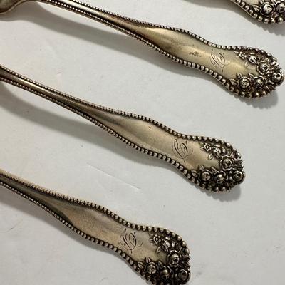 Carrington Thomas Co. Silver Fork Lot