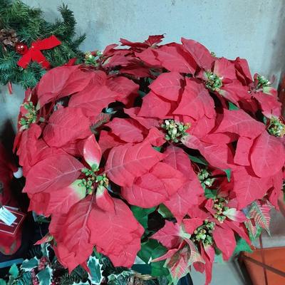 Huge faux poinsettia plant, small Christmas tree, beautiful wreath and more   Christmas Items