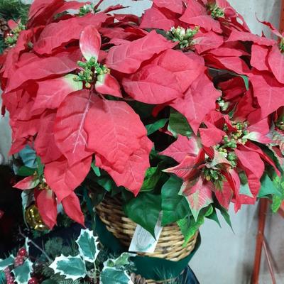 Huge faux poinsettia plant, small Christmas tree, beautiful wreath and more   Christmas Items