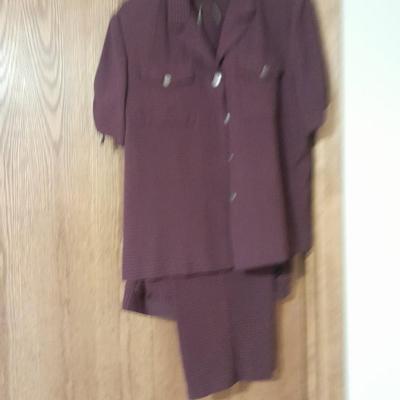 Dress, Pant Suit, and two-piece shirt / pant set 12T & 14