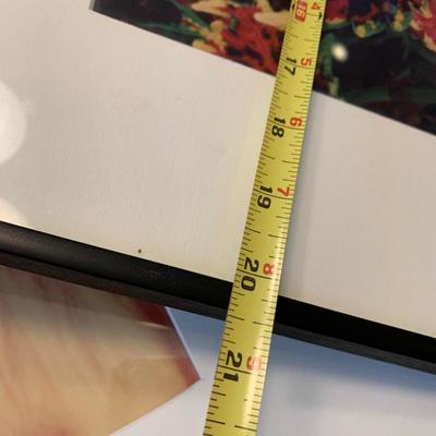 Framed Nature Photography Lot