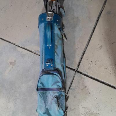 Assortment of Golf Clubs in Golf bag