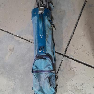 Assortment of Golf Clubs in Golf bag