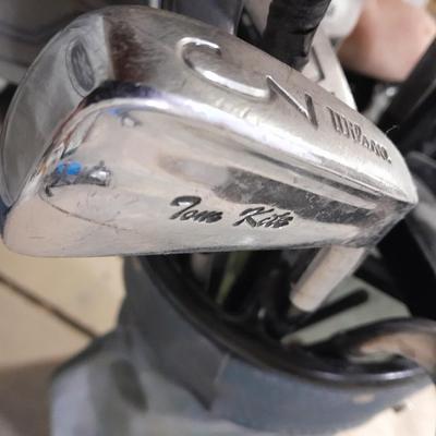 Assortment of Golf Clubs in Golf bag