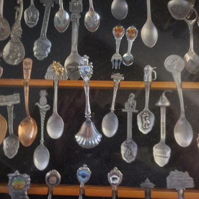 Framed Spoon Collection