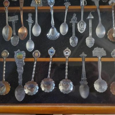 Framed Spoon Collection