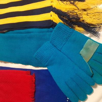 Winter scarves and gloves Isotoner new driving gloves