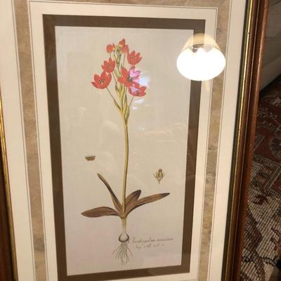 Two Floral Framed Home Decor Pictures -Lot 452