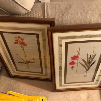 Two Floral Framed Home Decor Pictures -Lot 452