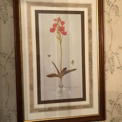Two Floral Framed Home Decor Pictures -Lot 452