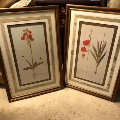 Two Floral Framed Home Decor Pictures -Lot 452
