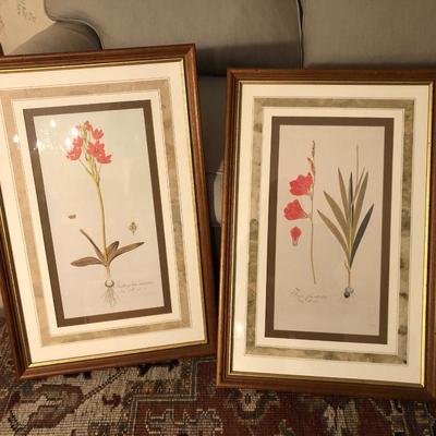 Two Floral Framed Home Decor Pictures -Lot 452