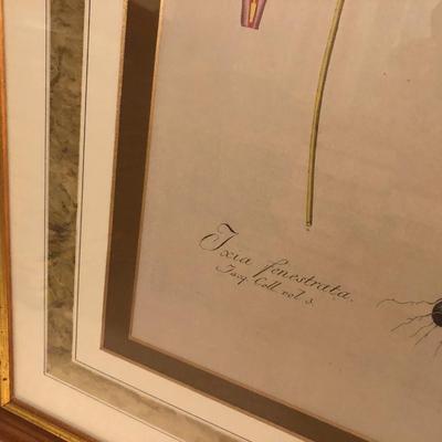 Two Floral Framed Home Decor Pictures -Lot 452