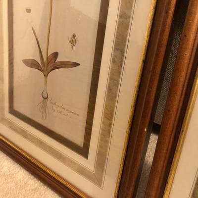 Two Floral Framed Home Decor Pictures -Lot 452