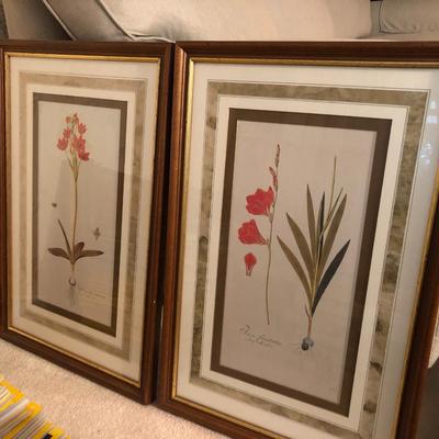 Two Floral Framed Home Decor Pictures -Lot 452