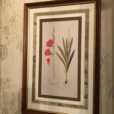 Two Floral Framed Home Decor Pictures -Lot 452