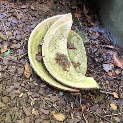 Terracotta Bird Bath Base Only 10â€x21â€ -Lot 476B