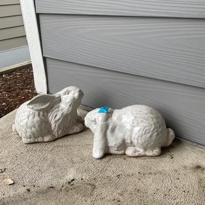 Two Yard Bunnies