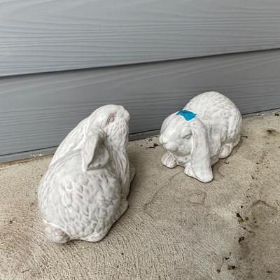 Two Yard Bunnies