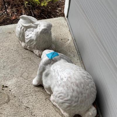 Two Yard Bunnies