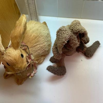 Unique Bunnies!