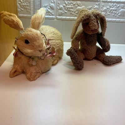 Unique Bunnies!
