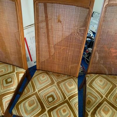 FIVE Caned Back Chairs