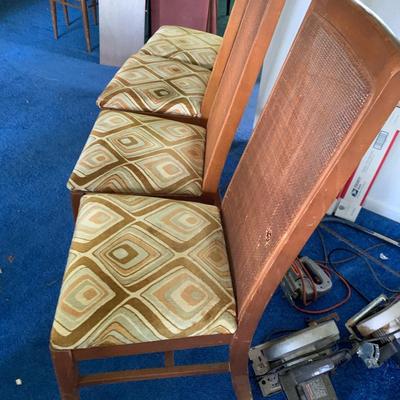 FIVE Caned Back Chairs
