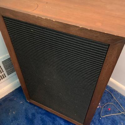 PAIR Home Constructed Stereo Speakers
