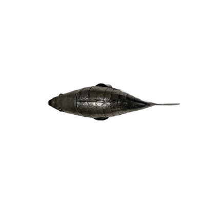 Large Articulated Fish Spice Holders