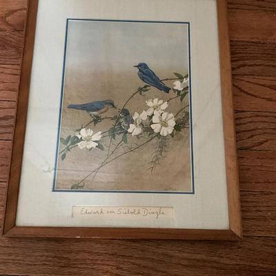 Edward Von Siebold Dingle Blue Bird Signed Print