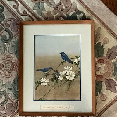 Edward Von Siebold Dingle Blue Bird Signed Print