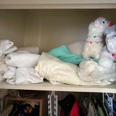 Closet contents lot