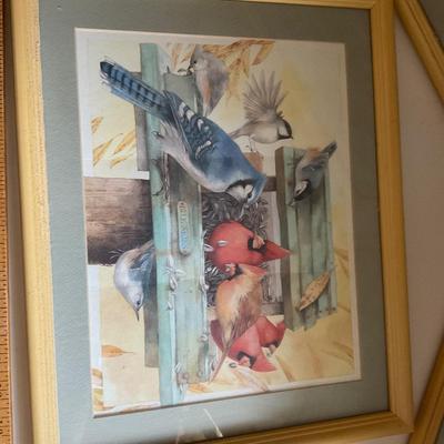 Framed Bird ðŸ–¼ï¸ Art