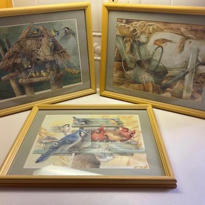Framed Bird ðŸ–¼ï¸ Art
