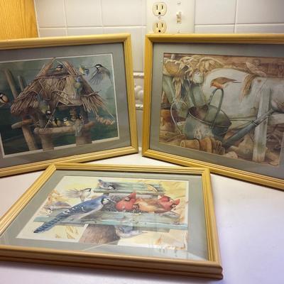 Framed Bird ðŸ–¼ï¸ Art