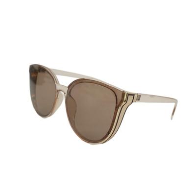 Sunglasses and case