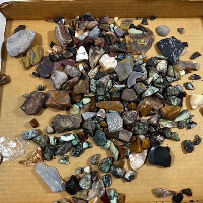 Box of Rocks Mixed Rough and Polished with some Fossils. 