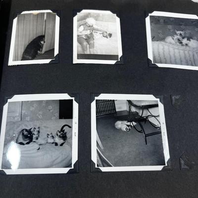 Photo Album Scrap Book from the 1960's era