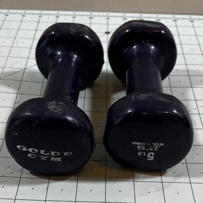 2 or Pair of 5 pound weights 