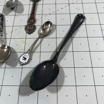 Souvenir Spoons (9)