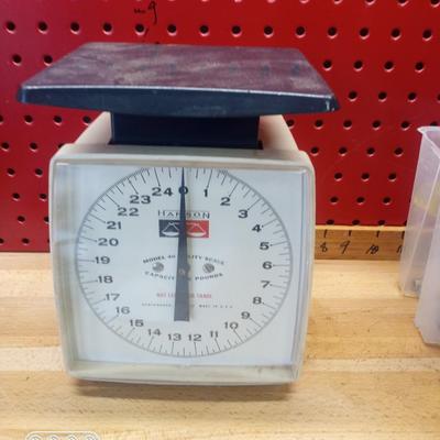 Kitchen Scale