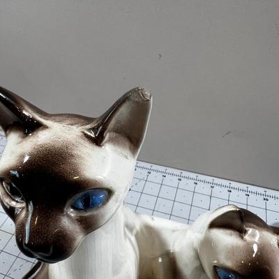 The most Awesome Cat Lamp ever