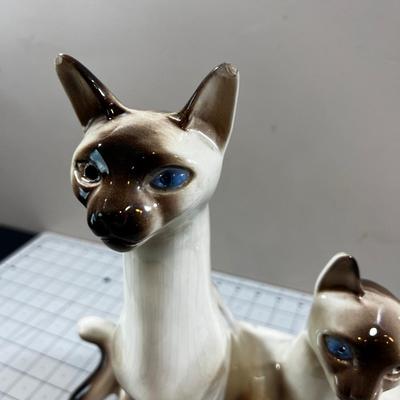 The most Awesome Cat Lamp ever