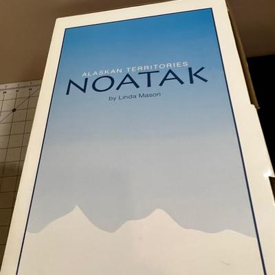 4 Native American Dolls: Named Quick Fox,  Many Stars Silver Moon Plus Notak (Eskimo)